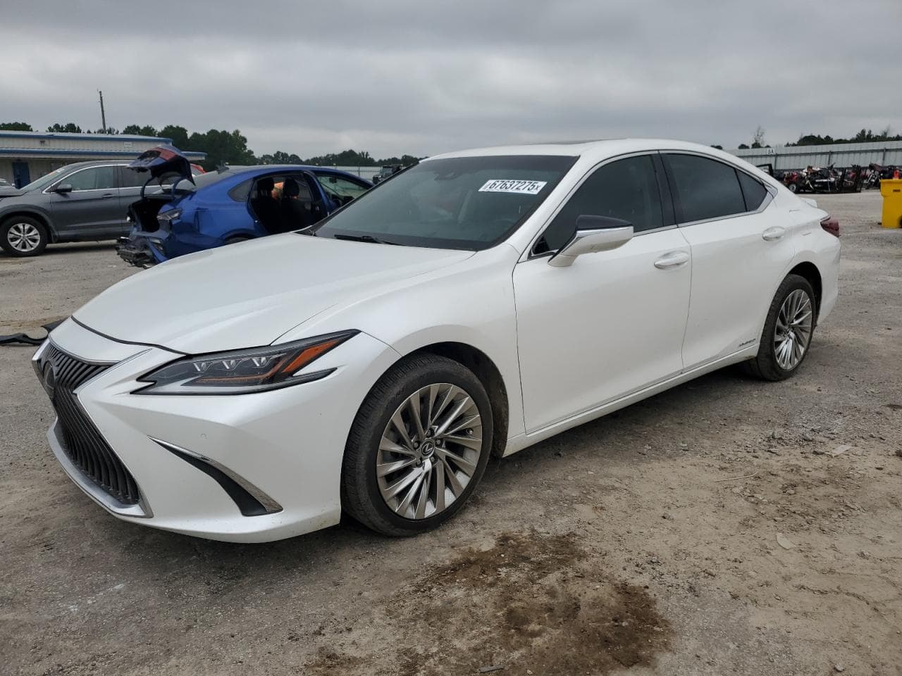 Lexus