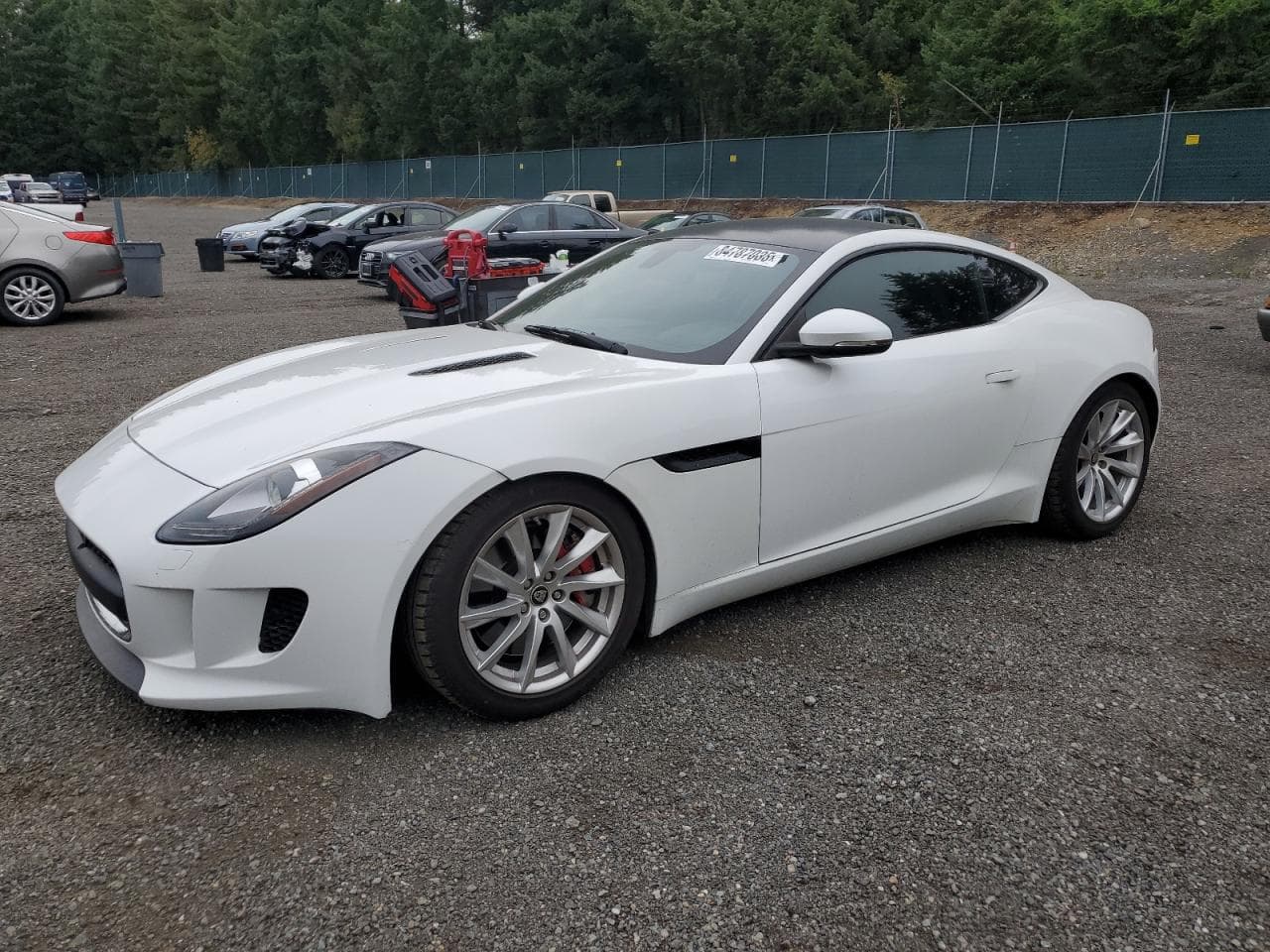 Jaguar